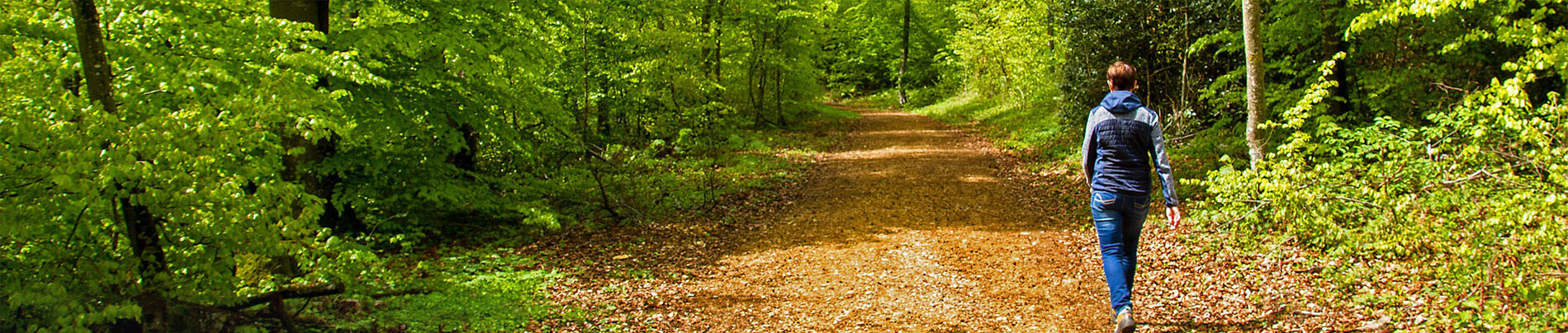 Frau geht im Wald spazieren