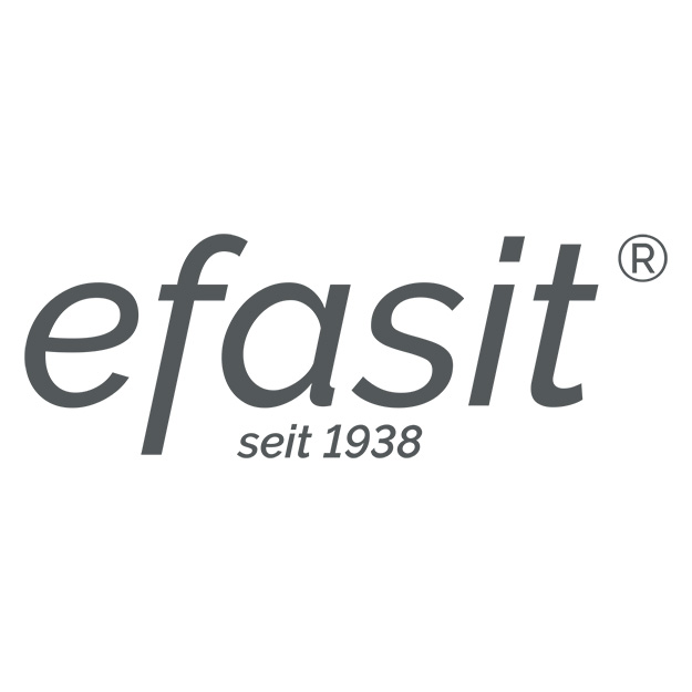 efasit Logo
