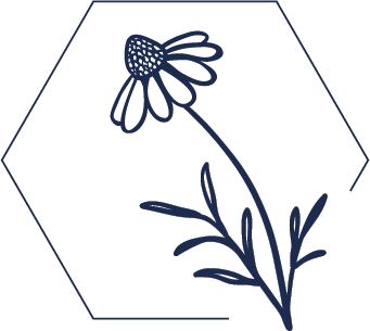 Kamille Icon für pflanzliche Inhaltsstoffe