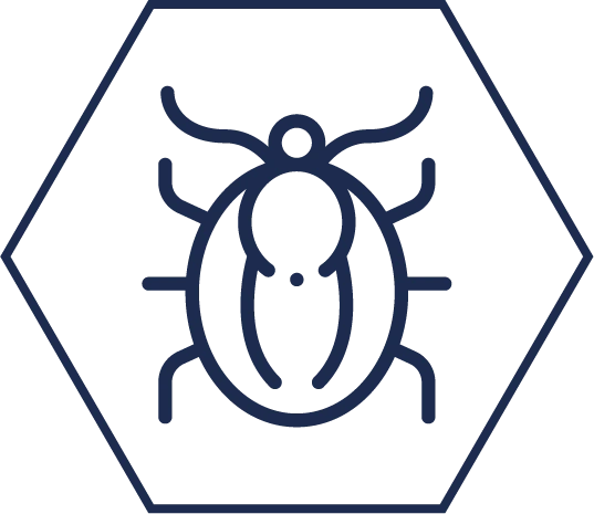 zeckev2 Icon einer Zecke